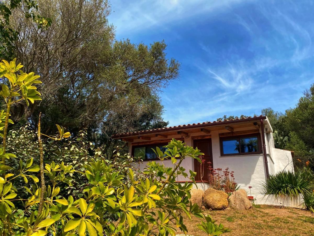 Casa Saltara (Adults Only) Villa Santa Teresa Gallura Eksteriør bilde