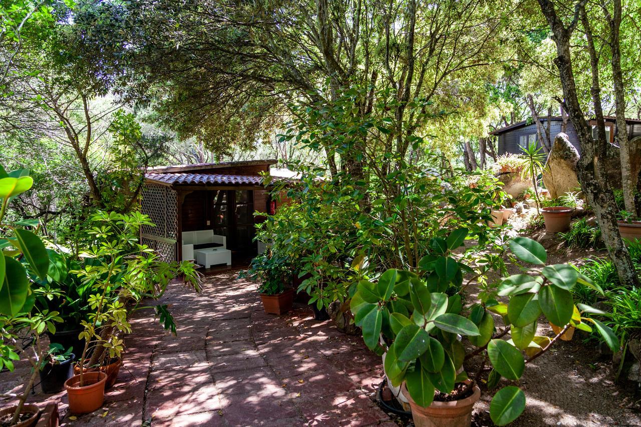 Casa Saltara (Adults Only) Villa Santa Teresa Gallura Eksteriør bilde