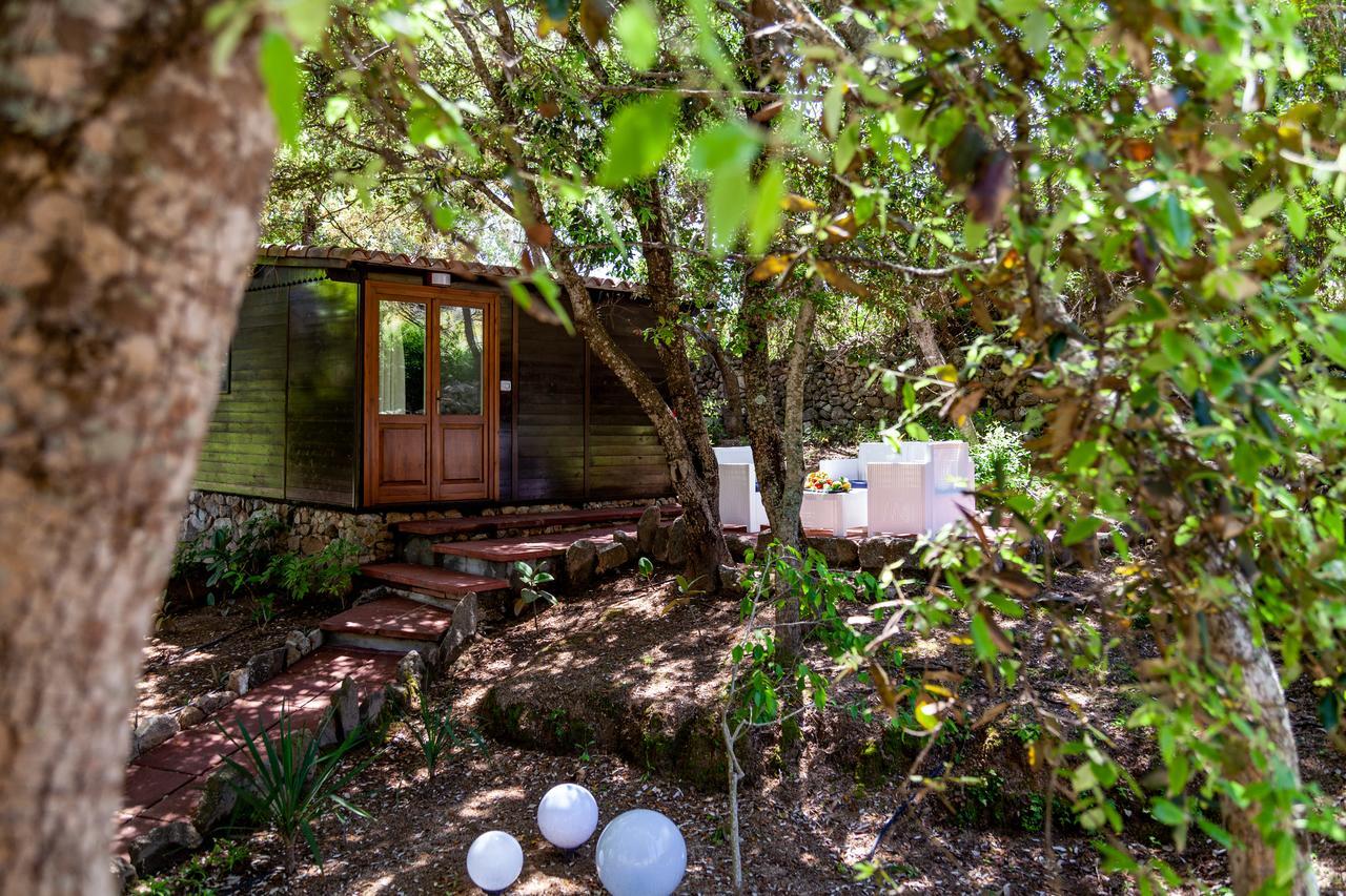Casa Saltara (Adults Only) Villa Santa Teresa Gallura Eksteriør bilde