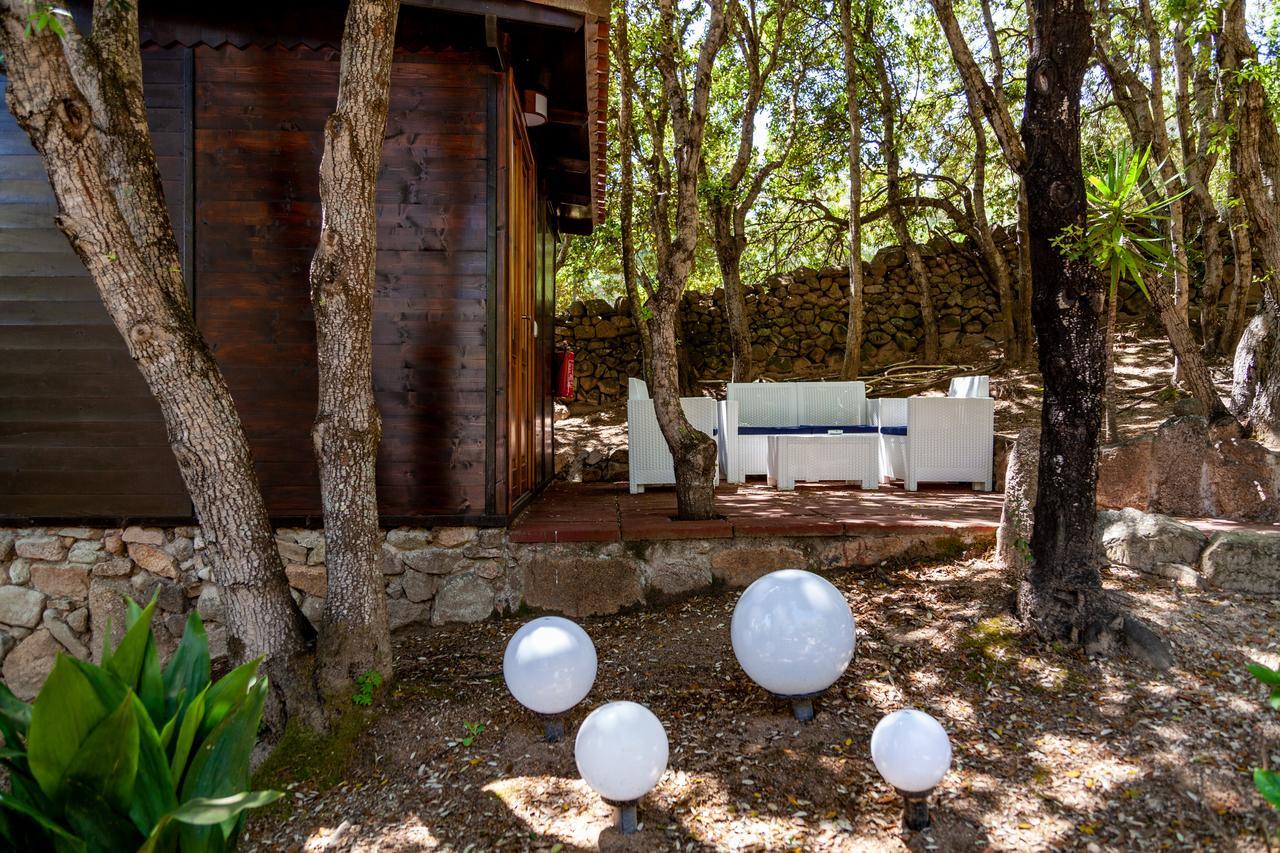 Casa Saltara (Adults Only) Villa Santa Teresa Gallura Eksteriør bilde