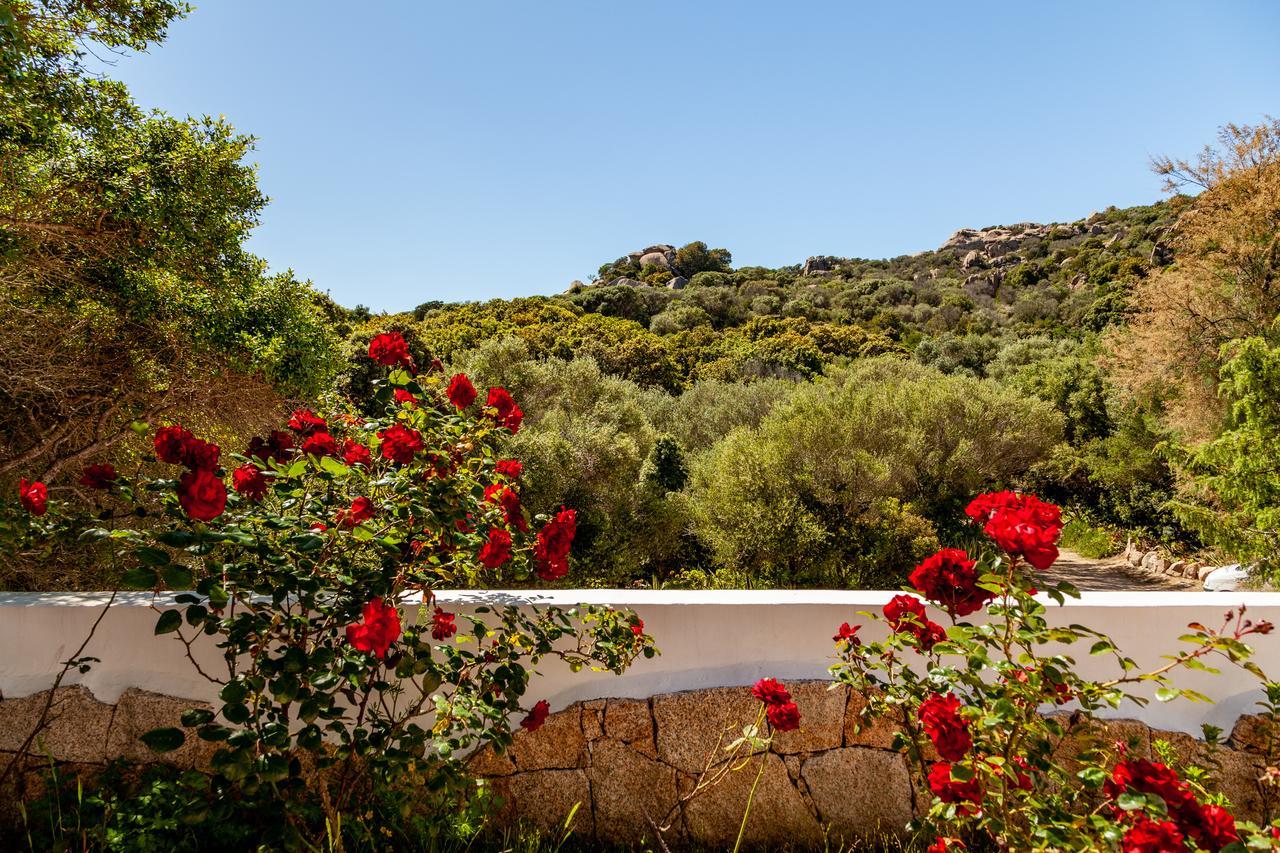 Casa Saltara (Adults Only) Villa Santa Teresa Gallura Eksteriør bilde