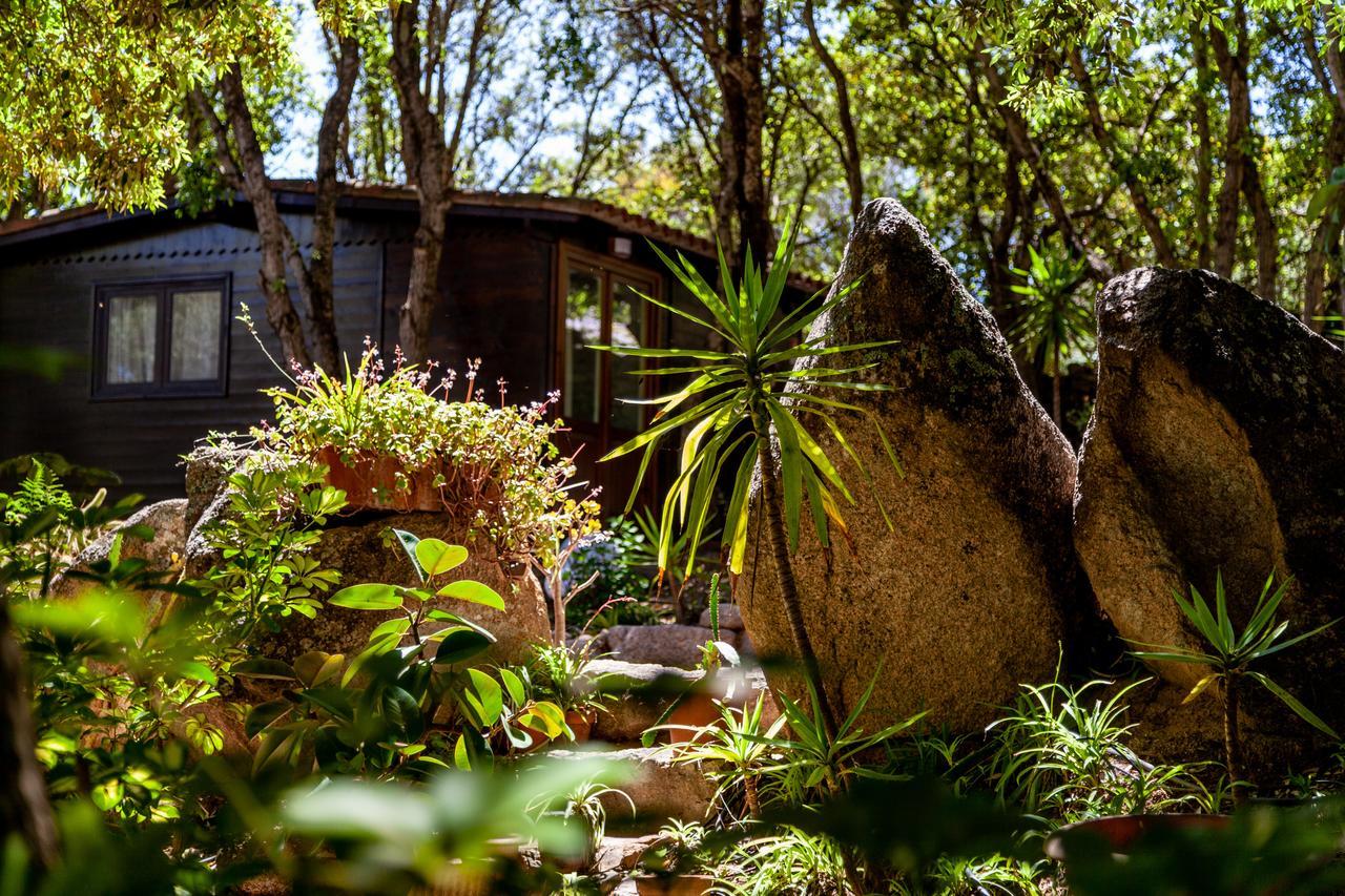 Casa Saltara (Adults Only) Villa Santa Teresa Gallura Eksteriør bilde